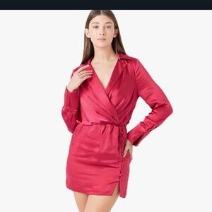 Endless rose mini satin dress